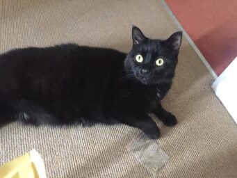 Salem